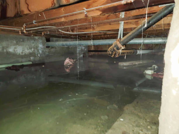 Best Residential water damage restoration  in Thompson, ND