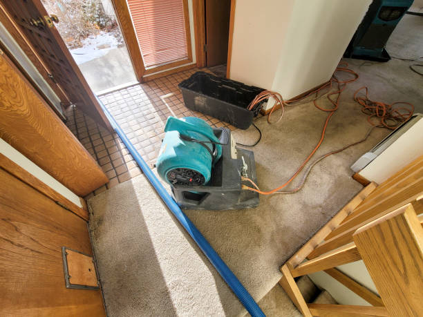 Best Flooded house restoration  in Thompson, ND