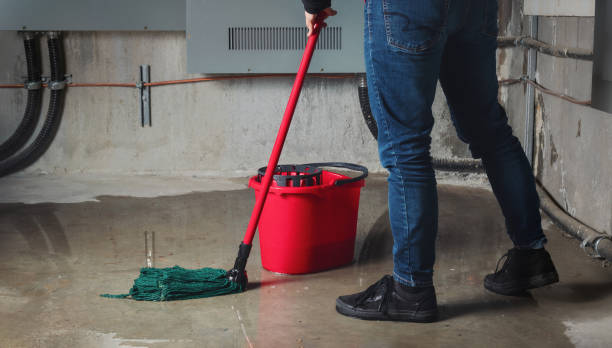 Best Professional water damage repair  in Thompson, ND
