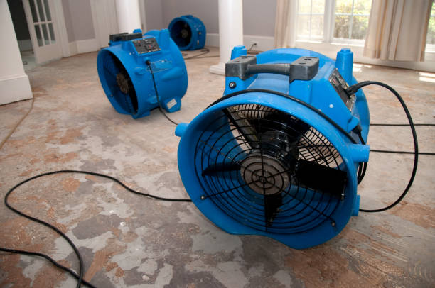 Best Water damage cleanup near me  in Thompson, ND