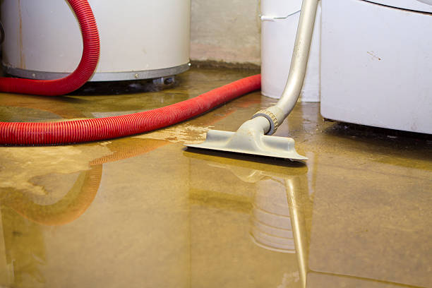Best Basement water damage restoration  in Thompson, ND