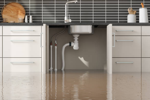 Best 24-hour water damage restoration  in Thompson, ND
