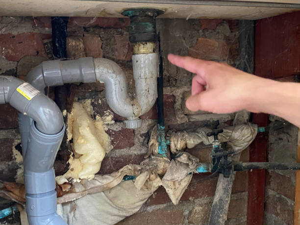 Water damage restoration insurance claims in Thompson, ND