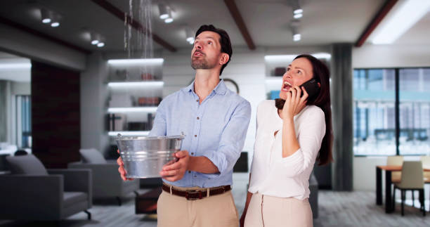 Reliable Thompson, ND Water damage restoration Solutions