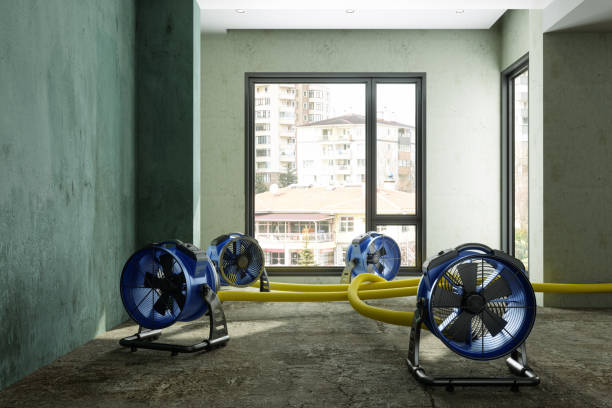 Best Emergency water damage restoration  in Thompson, ND